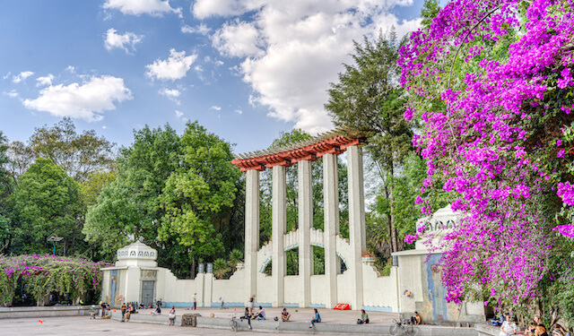 Naya Homes | The Ultimate Guide to Condesa Mexico City