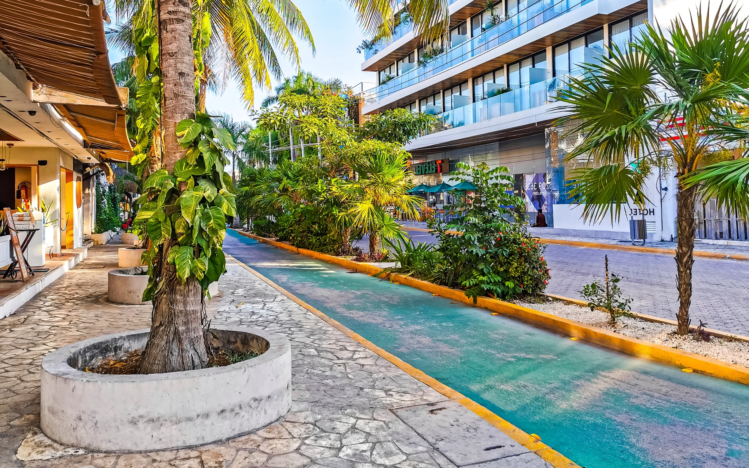 Playa del Carmen Real Estate vs. Cancun: Which is Best for Vacation Rentals?