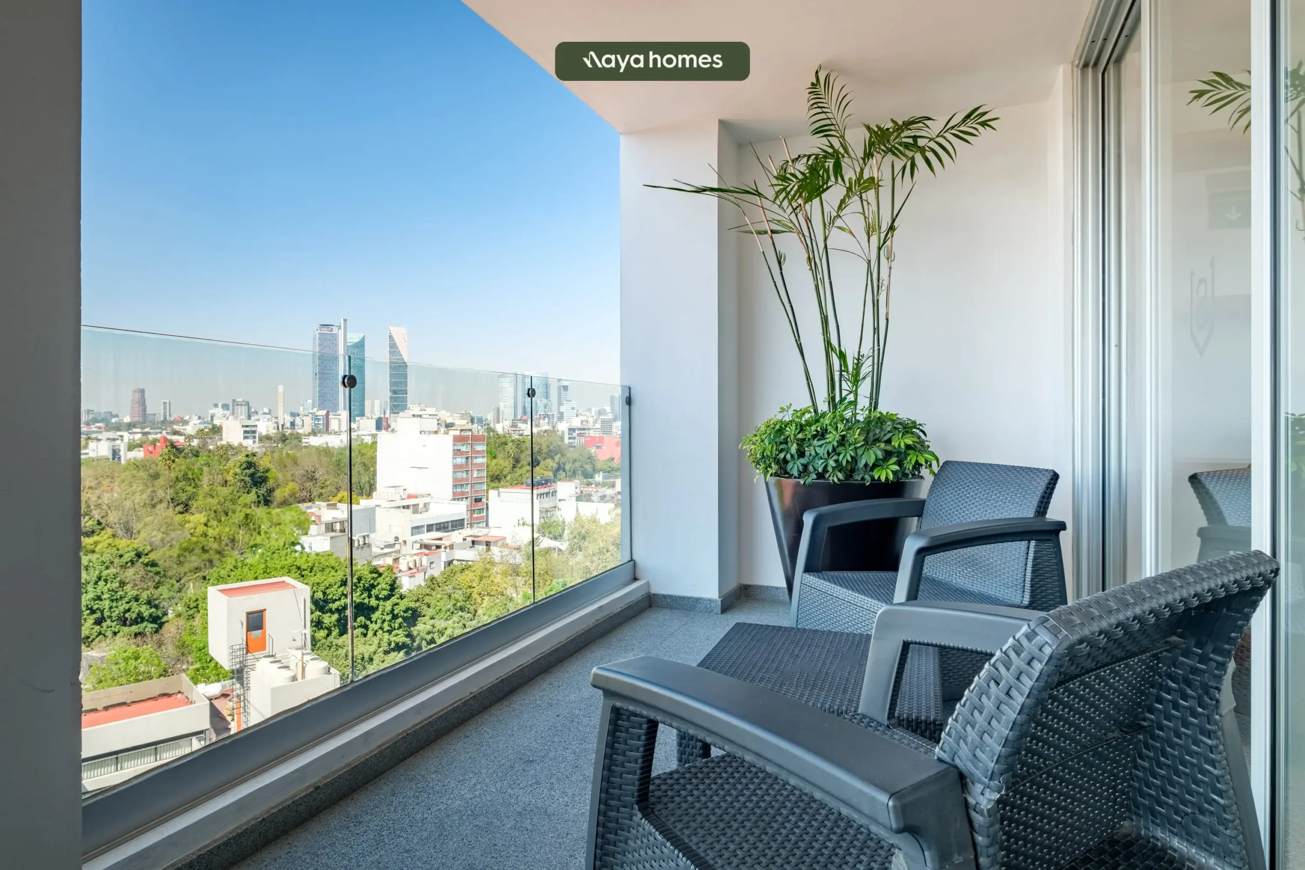 Mexico City Airbnb Insights | 2024