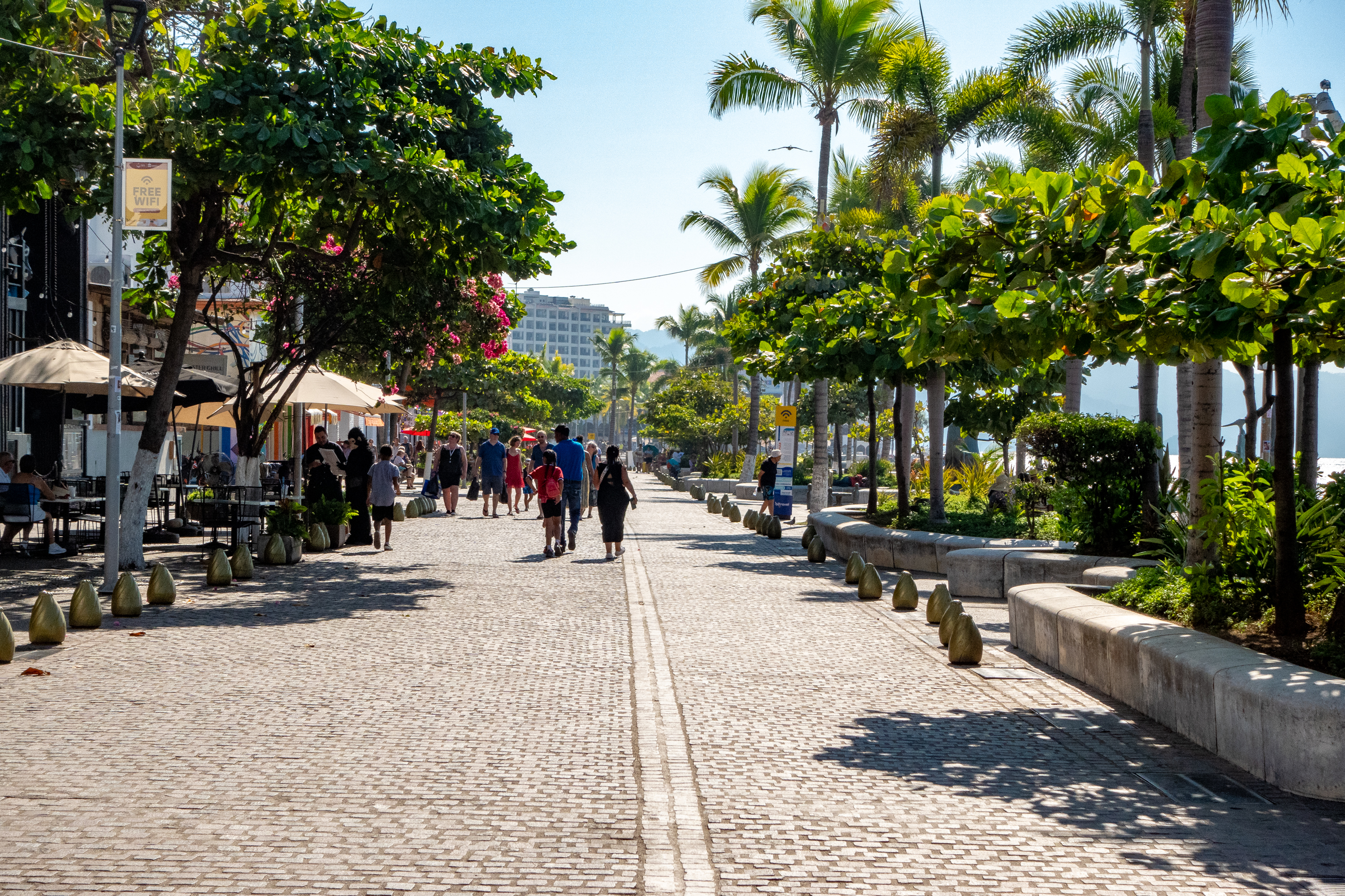 What’s Happening in Puerto Vallarta This Summer 2026?
