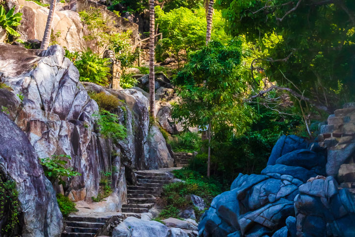 Thing To Do Hikes